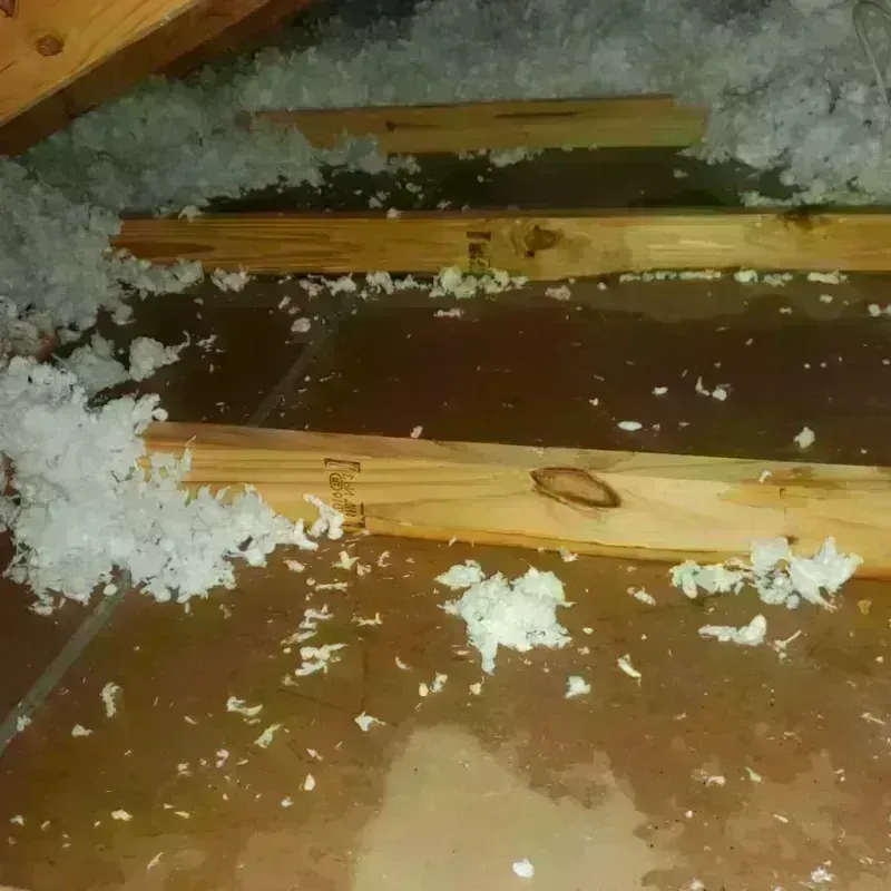 Attic Water Damage in Century, FL