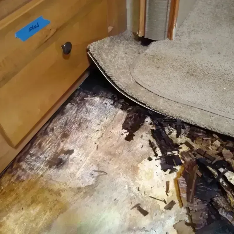 Wood Floor Water Damage in Century, FL